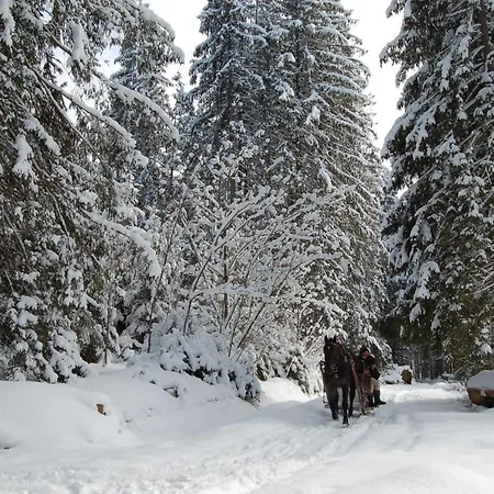 Tritri 1 Butikowy בקתה Witów